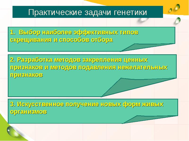 Генетика подготовка к егэ презентация