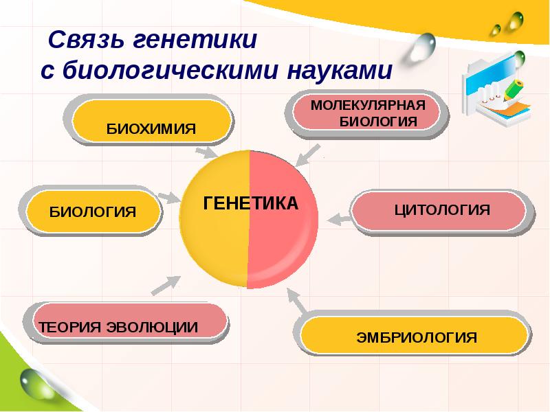 Генетика как отрасль биологической науки 9 класс презентация