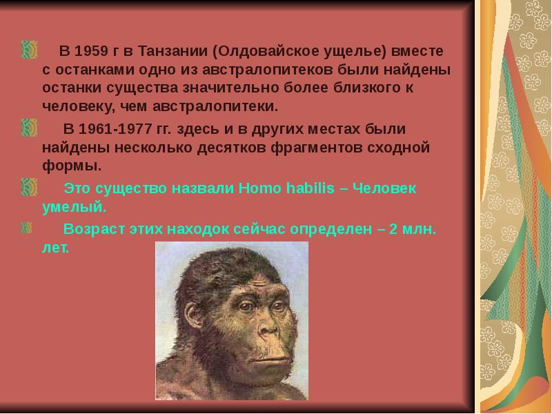 Что в переводе с латинского означает австралопитек