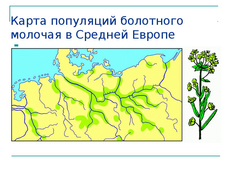 Карта популяций болотного молочая в Средней Европе Карта популяций болотного молочая в Средней Европе