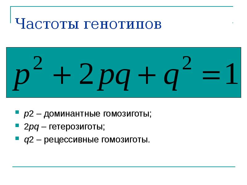 Частоты генотипов
p2 – доминантные гомозиготы;
2pq – гетерозиготы;
q2 – Частоты генотипов
p2 – доминантные гомозиготы;
2pq – гетерозиготы;
q2 –