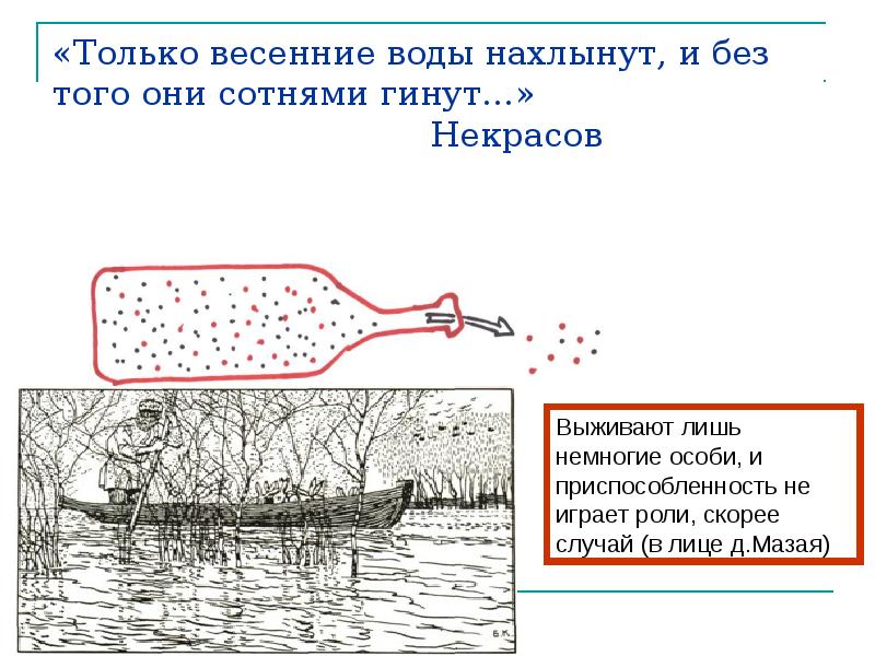 «Только весенние воды нахлынут, и без того они сотнями гинут…» «Только весенние воды нахлынут, и без того они сотнями гинут…»