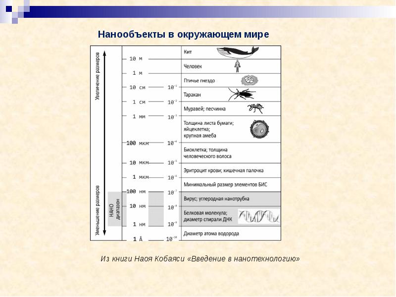 Учебный план итмо физика наноструктур