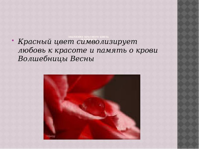 Значение красного цвета цветов. Что символизирует красный цвет в любви. Красный цвет символизирует. Красный цвет крови что символизирует. Цвет олицетворяющий любовь.