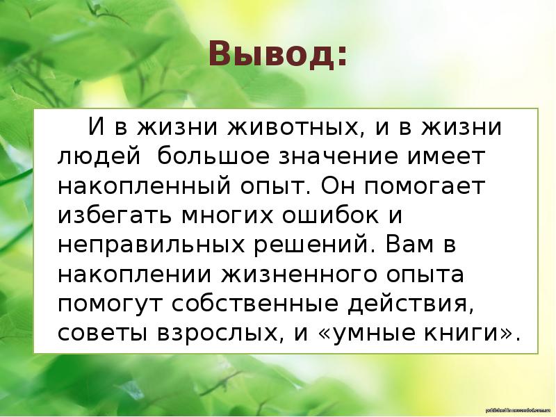 Житейские выводы