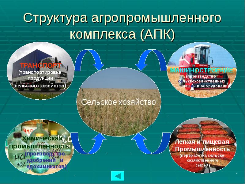 Структура агропромышленного комплекса (АПК)