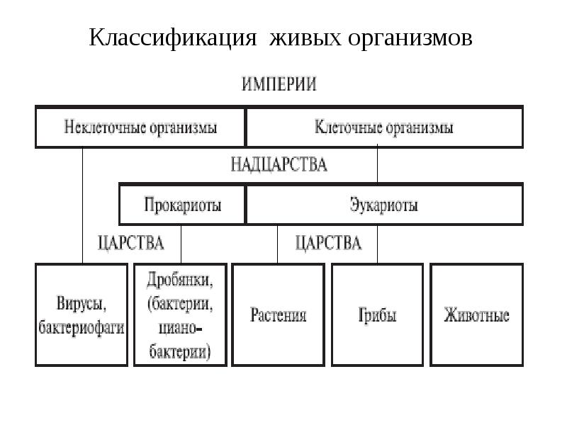 Презентация систематика 11 класс