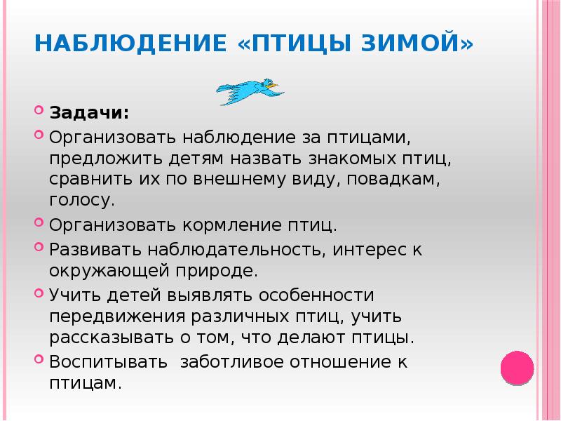 Проект по биологии на тему наблюдение за птицами