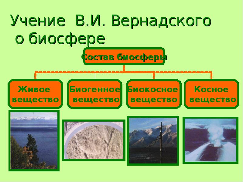 Энергетика биосферы. Учение о биосфере презентация. Учение Вернадского о биосфере компоненты биосферы. Косное вещество. Типы веществ в биосфере презентация.