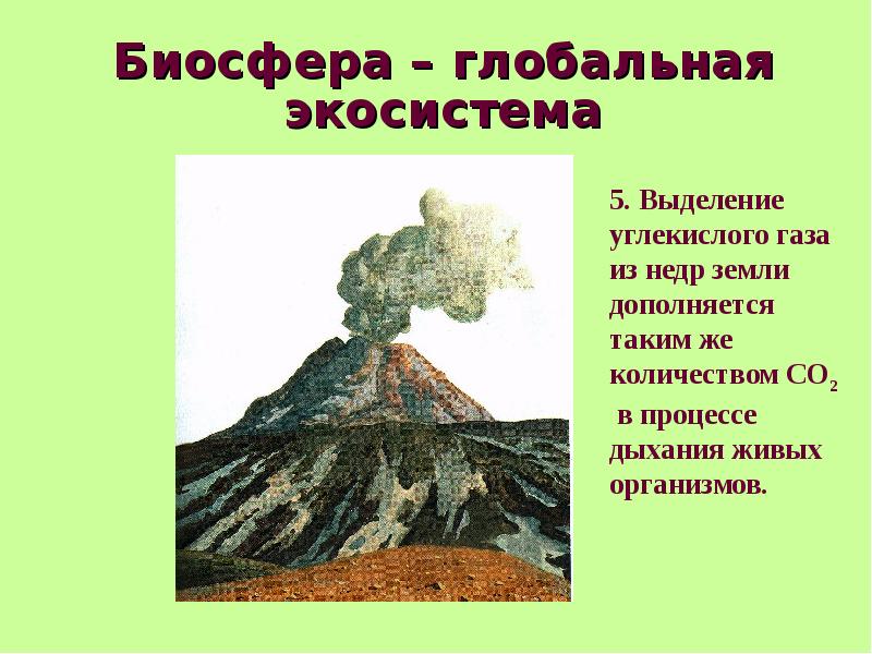 Биосфера глобальная экосистема презентация 9 класс