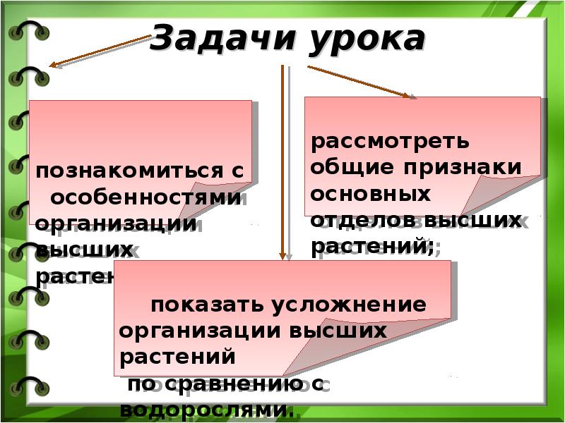 Роль водорослей в экосистеме. Роль водорослей в экосистемах. Роль водорослей в водных экосистемах. Водоросли в водных экосистемах играют роль. Роль водорослей в природе 5 класс биология.