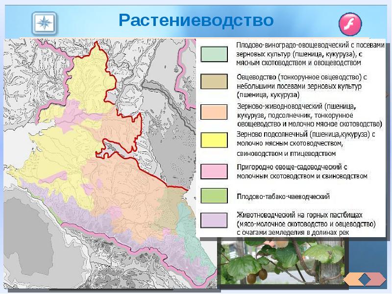 Европейский юг презентация по географии 9 класс