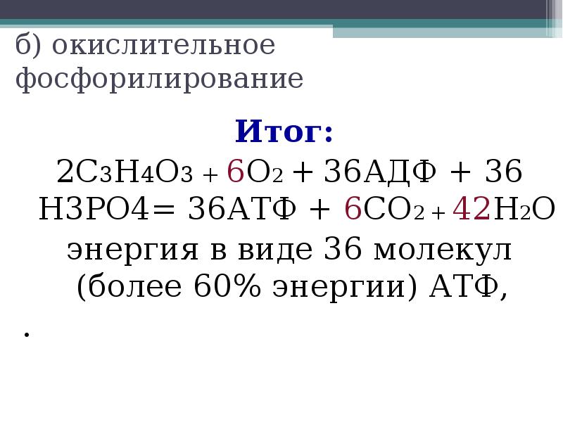 Образование 2 молекул атф