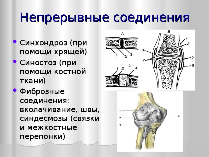 Соединение суставов