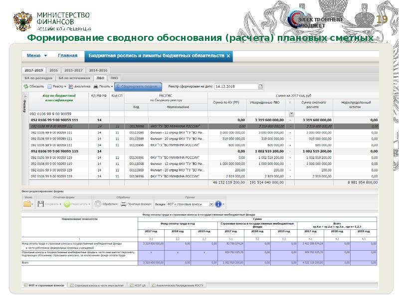 Информация о детализации финансовой отчетности в электронном бюджете образец