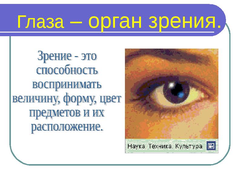 Органы чувств 3 класс презентация школа россии