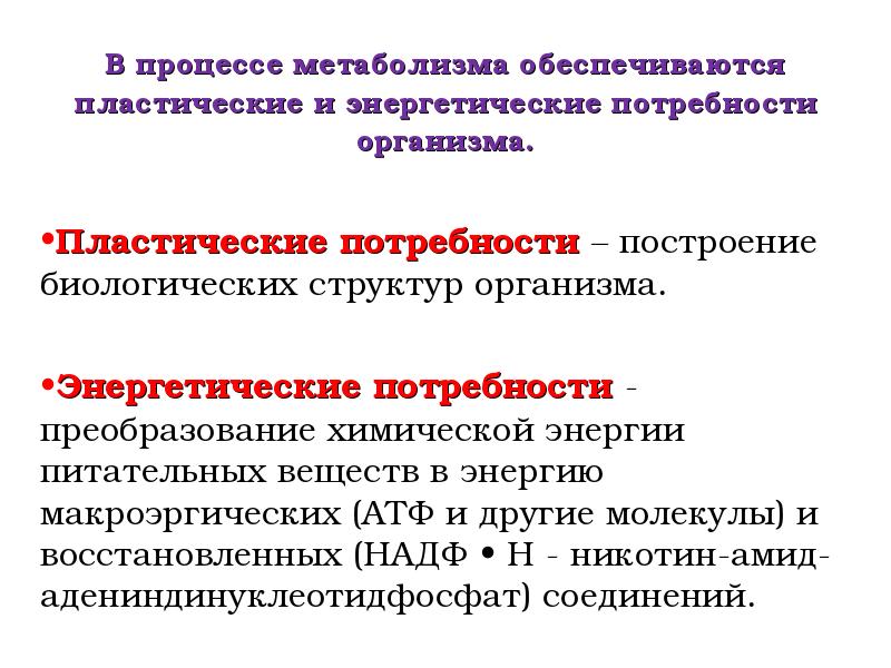 Обеспечивают обмен веществ и газов