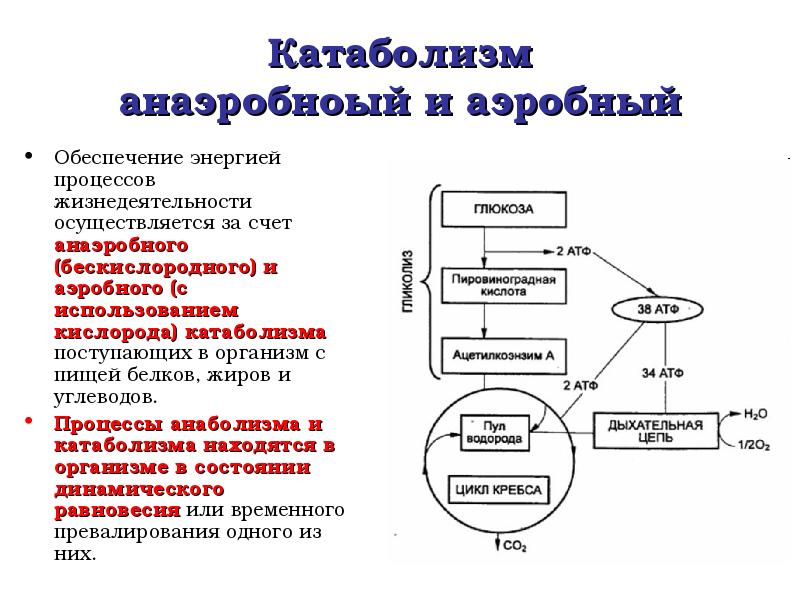 Обмен энергии схема