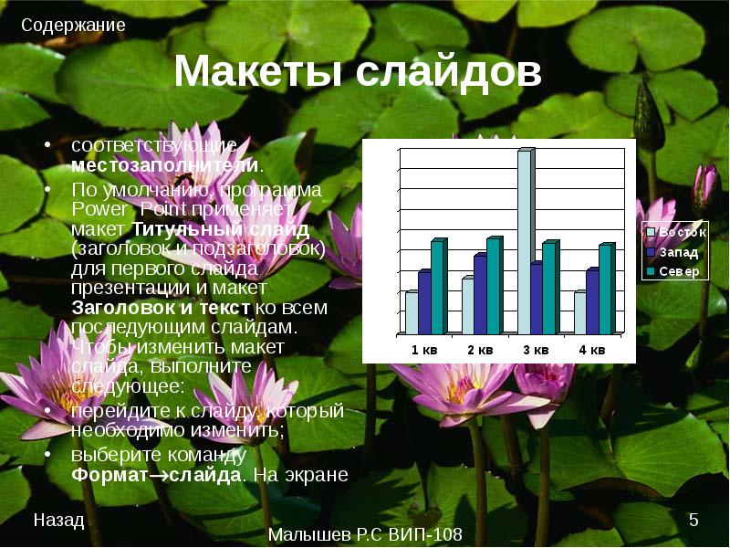 Что такое местозаполнитель в презентации