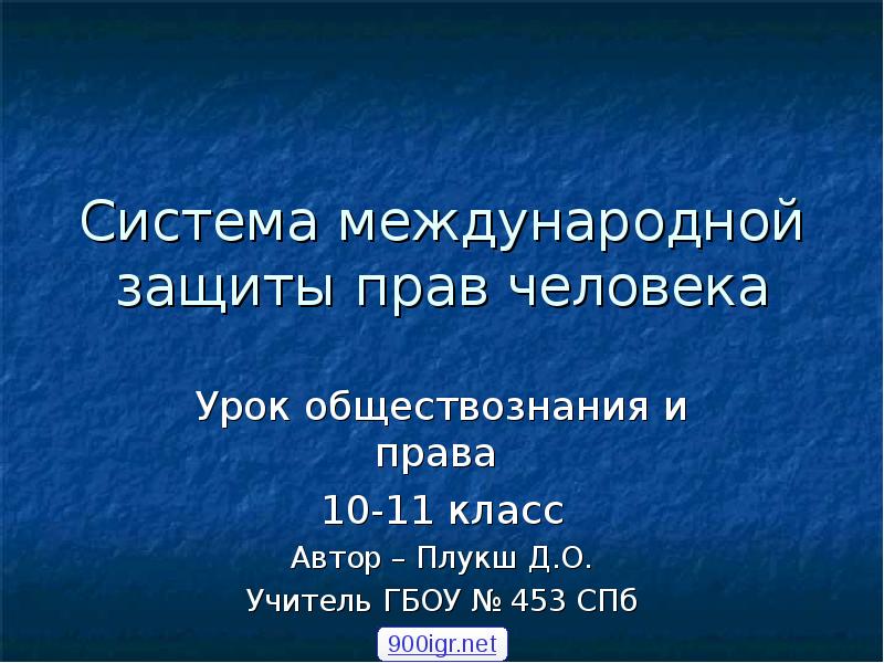 Система международной защиты прав человека план