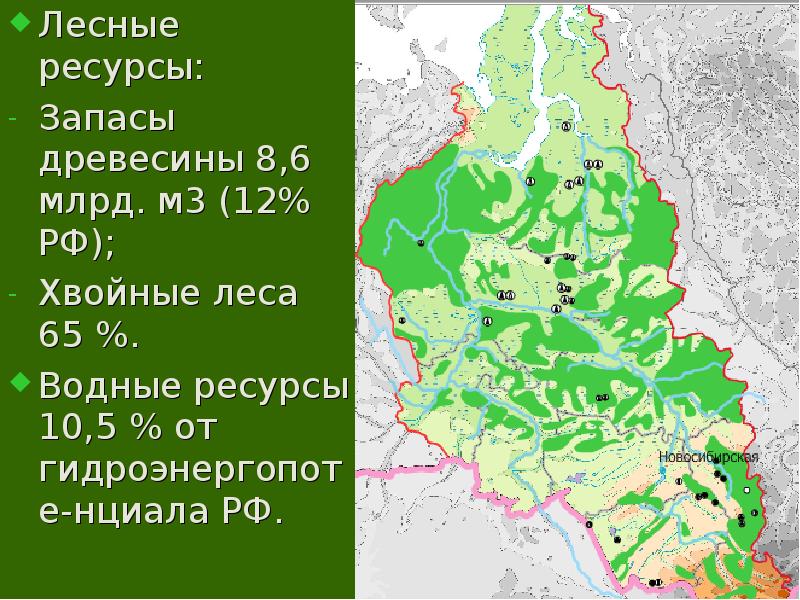 Карта лесов сибири