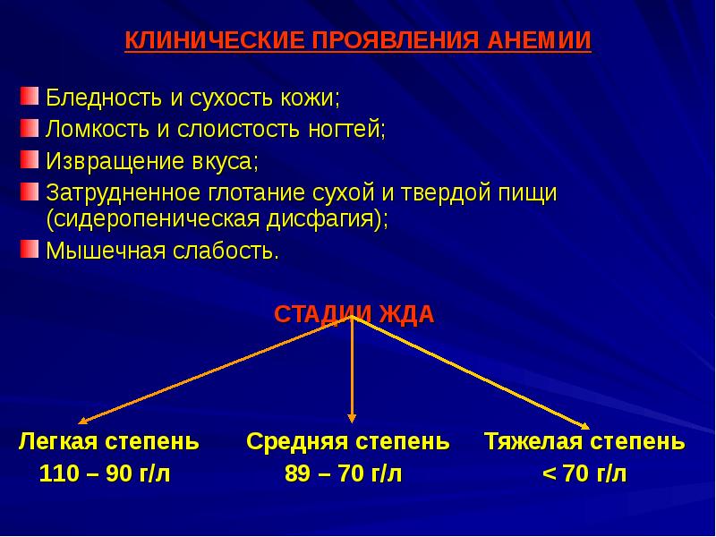 Анемии презентация по терапии