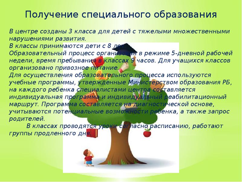 Центр коррекционно развивающего обучения и реабилитации. Центр коррекционно развивающего обучения и реабилитации