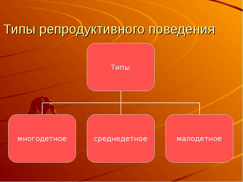 Презентация репродуктивное поведение