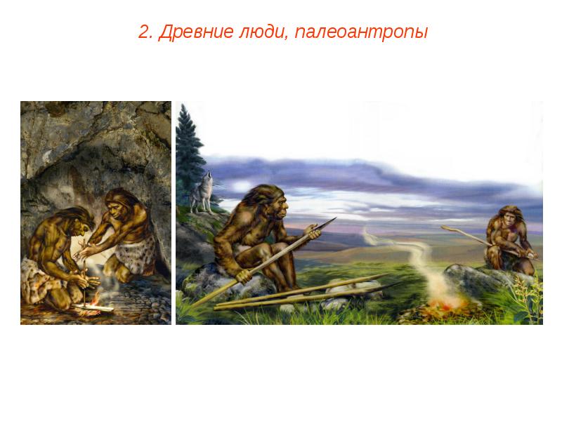 Появление человека разумного 5 класс история. Древние люди Палеоантропы. Палеоантропы презентация.