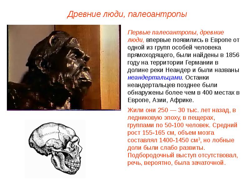 Древние люди Палеоантропы. Человек разумный объем мозга. Появление человека разумного. Человек прямоходящий речь.