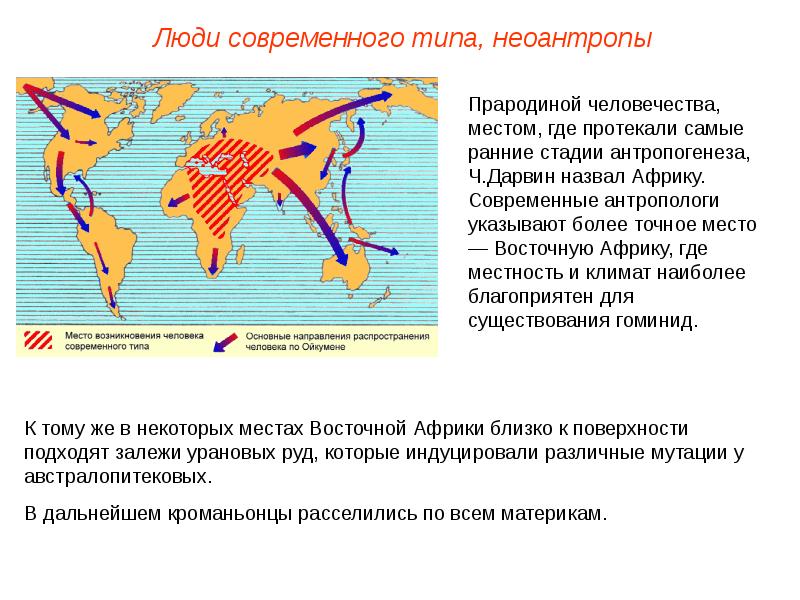 Появление человека разумного презентация 11 класс