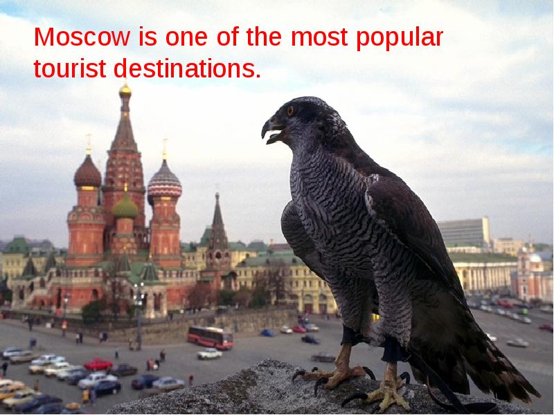 Moscow is larger than