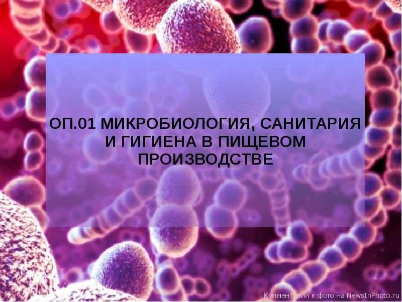 Питание и рост микроорганизмов презентация