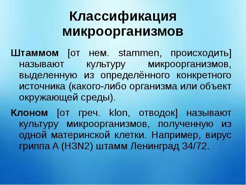 Классификация микроорганизмов. Принципы классификации микроорганизмов. Классификация и систематика микроорганизмов. Морфология и принципы классификации микроорганизмов.