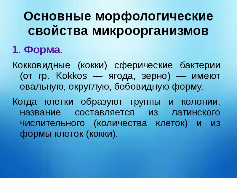 Морфологические свойства