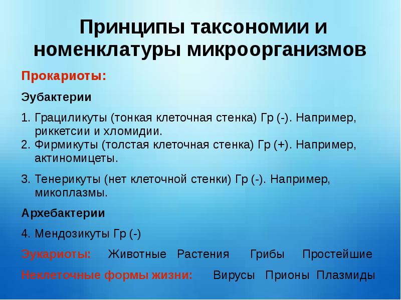 Морфология и систематика микроорганизмов презентация