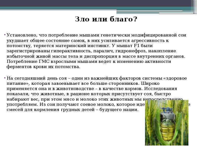 Проект автомобиль благо или зло