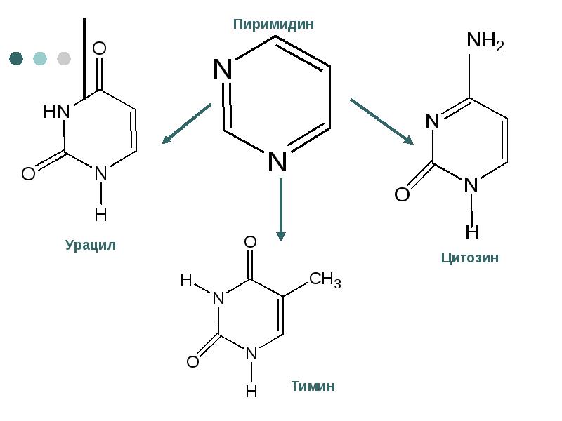 Молекула урацила. Метилирование урацила. Тимин урацил. Урацил структурная формула. Синтез урацила.