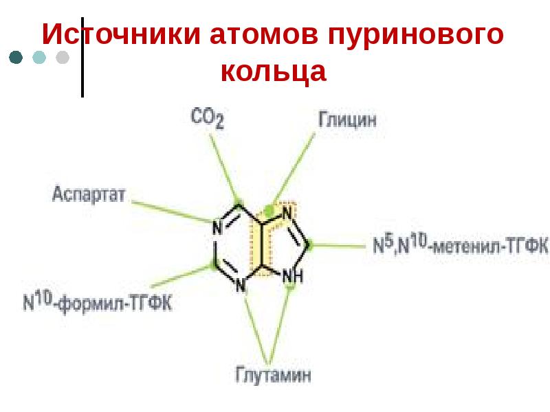 Источник n. Источники атомов пуринового кольца. Источники атомов азота в пуриновом кольце. Источники атомов углерода и азота пуринового кольца.. Схема происхождения атомов пуринового кольца.