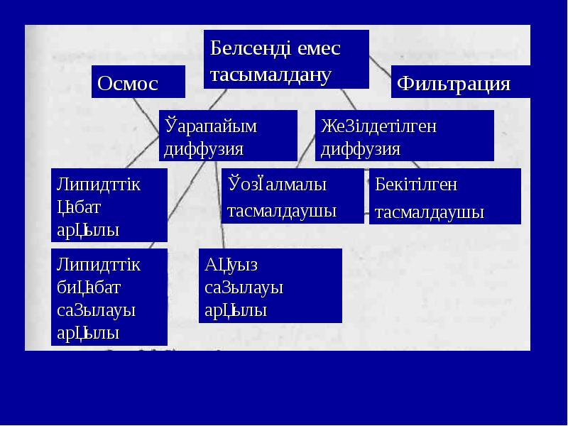 Биологиялық мембраналар презентация