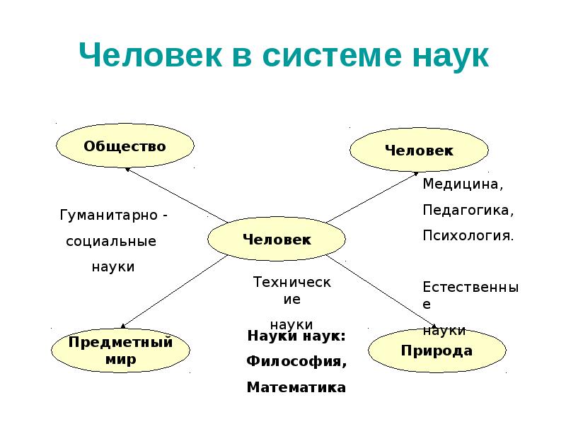 Место экономики среди наук об обществе. Науки о человеке и обществе. Схема наука общество человек. Человек и общество предметная область. Науки о связи природы с обществом:.