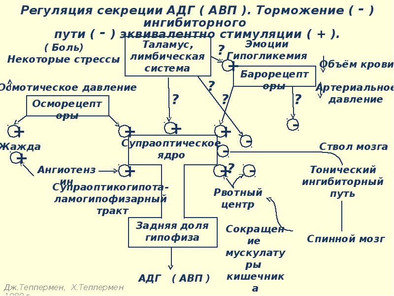 Неотложные состояния в педиатрии презентация