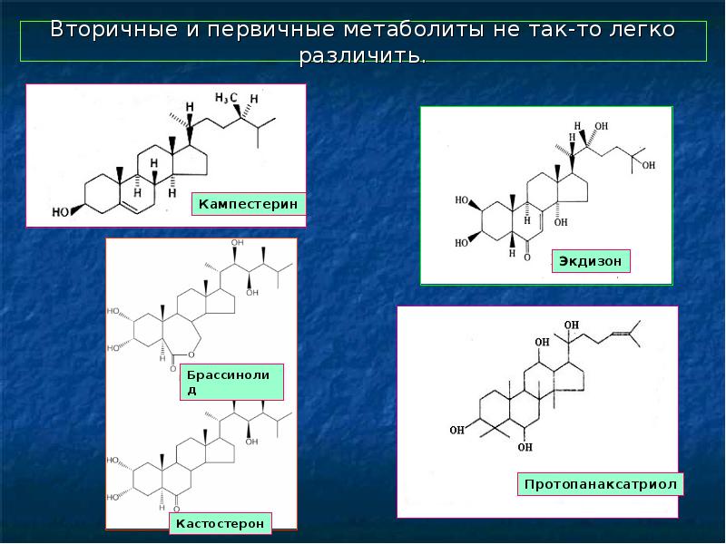 Вторичные метаболиты растений презентация