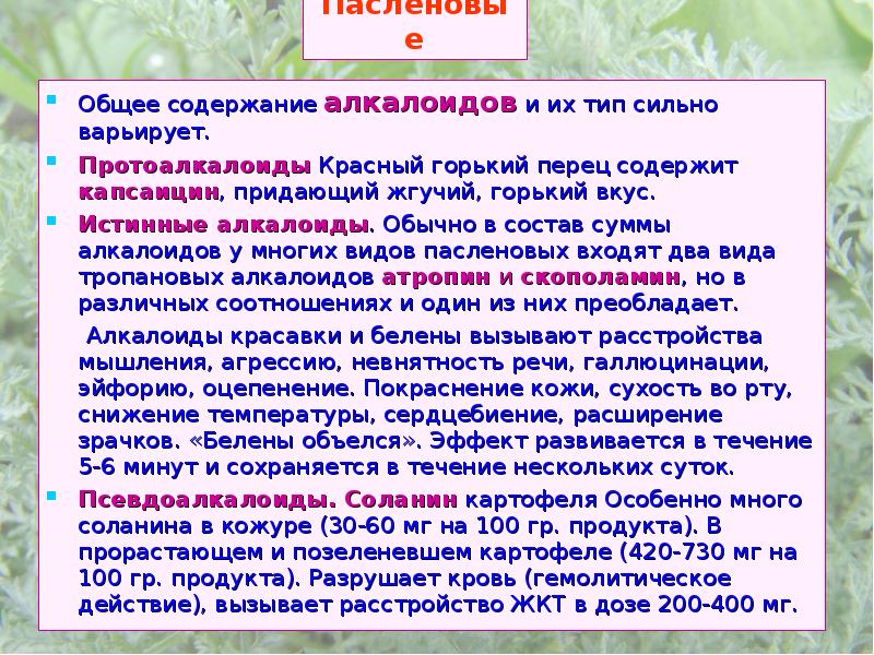 Алкалоид в пасленовых. Вторичный метаболизм растений. алкалоиды в картофеле. псевдоалкалоиды. алкалоиды пасленовых продукты.