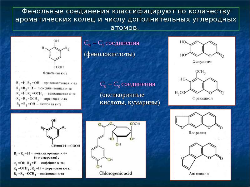 Фенольные соединения фото