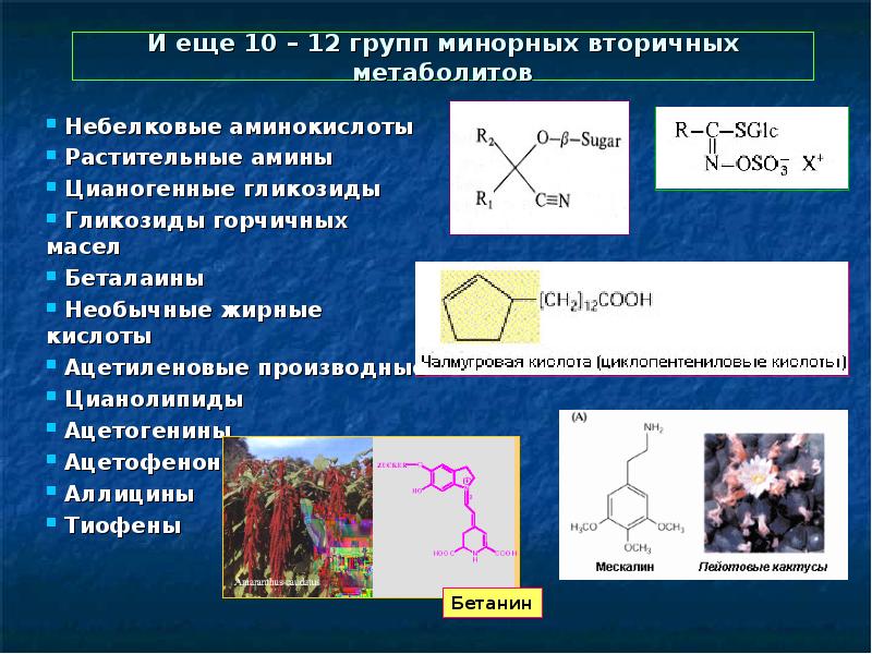 Вторичные метаболиты растений презентация