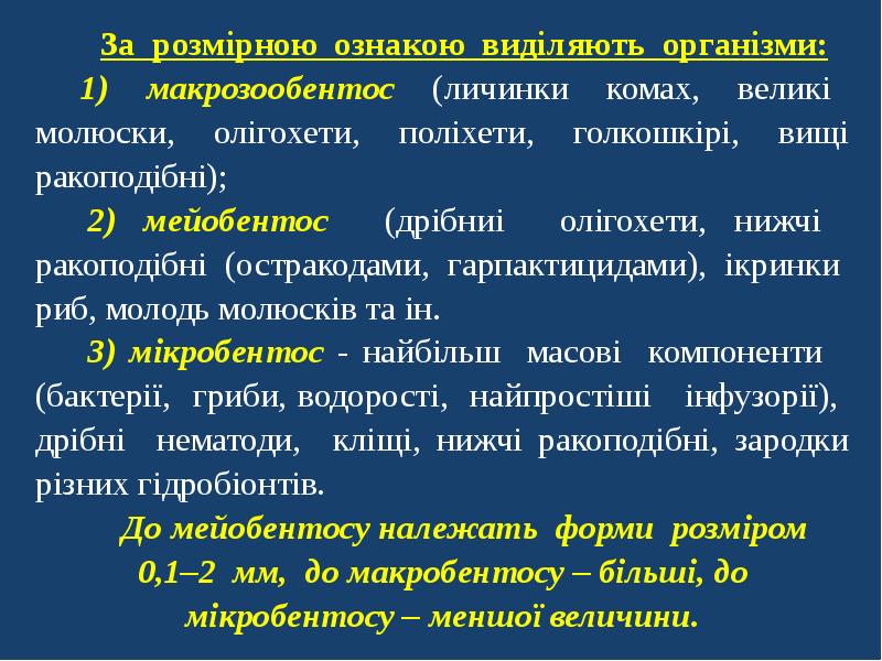 Бенталь Вольная. Бенталь простыми словами. Бенталь определение 10 класс. Бенталь это в географии.