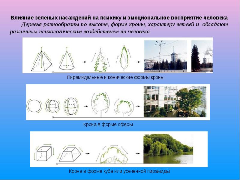 Влияние зеленых насаждений на психику и эмоциональное восприятие человека Влияние зеленых насаждений на психику и эмоциональное восприятие человека
