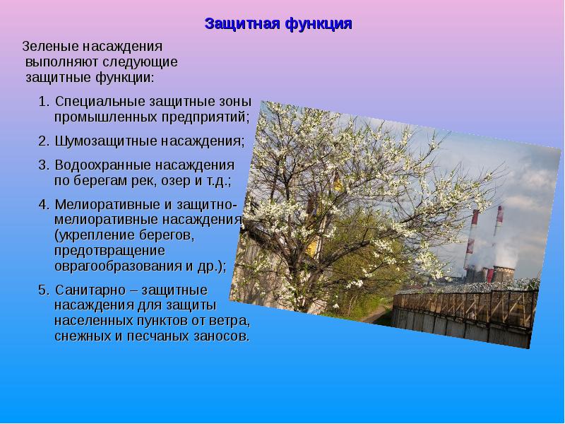 Защитная функция
Зеленые насаждения выполняют следующие защитные функции:
Специальные Защитная функция
Зеленые насаждения выполняют следующие защитные функции:
Специальные