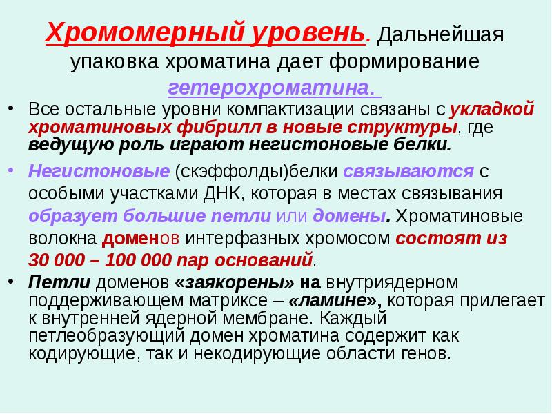 Хромомерный уровень. Дальнейшая упаковка хроматина дает формирование гетерохроматина.
Все Хромомерный уровень. Дальнейшая упаковка хроматина дает формирование гетерохроматина.
Все